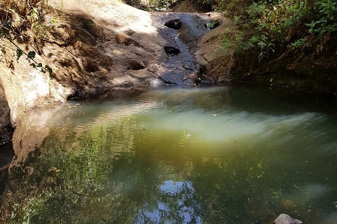Day Trip to Menagesha Suba Forest from Addis Ababa - What to wear and what to pack