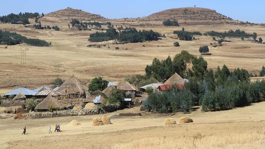 Day Trip To See Monastrys,Amazing landscapes & Animals - Five Reasons This Day Trip Is Worth Your Time