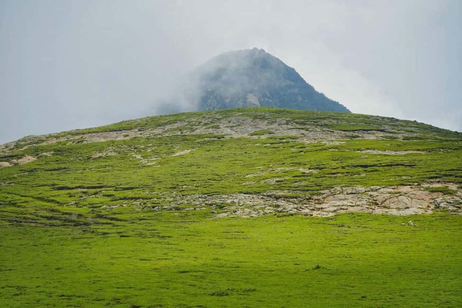 Day Trip To See Monastrys,Amazing landscapes & Animals - What the $120 Price Really Covers