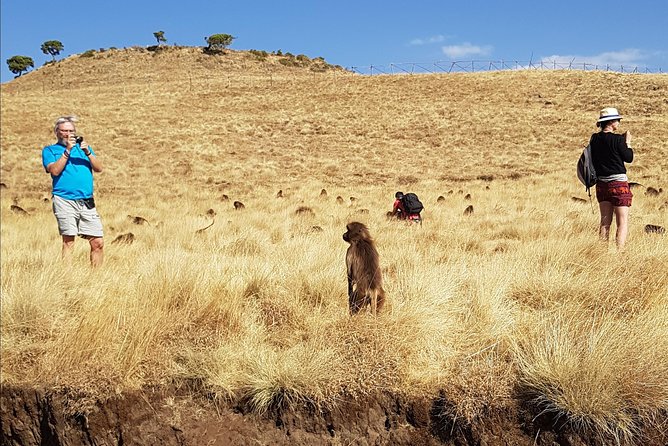 Debre Libanos Monastery and Jemma River Gorge - Day Tour from Addis Ababa - The Portuguese Bridge and Jemma River Gorge