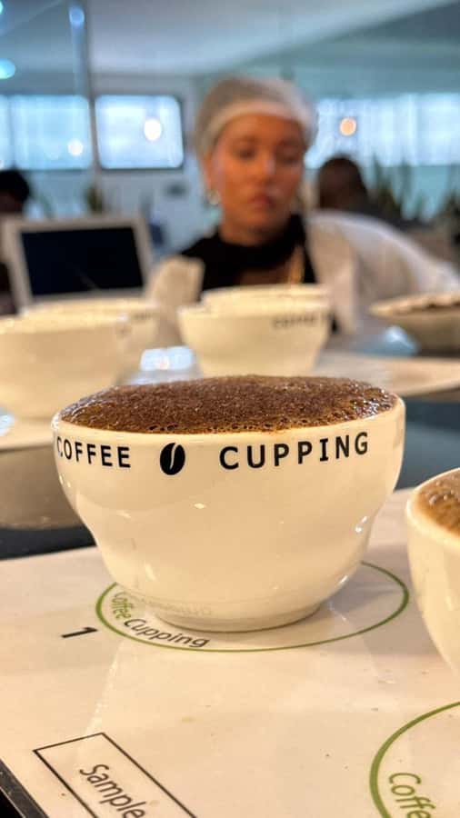 Ethiopia coffee cupping class/Ethiopian food injera making - Starting in Addis Ababa