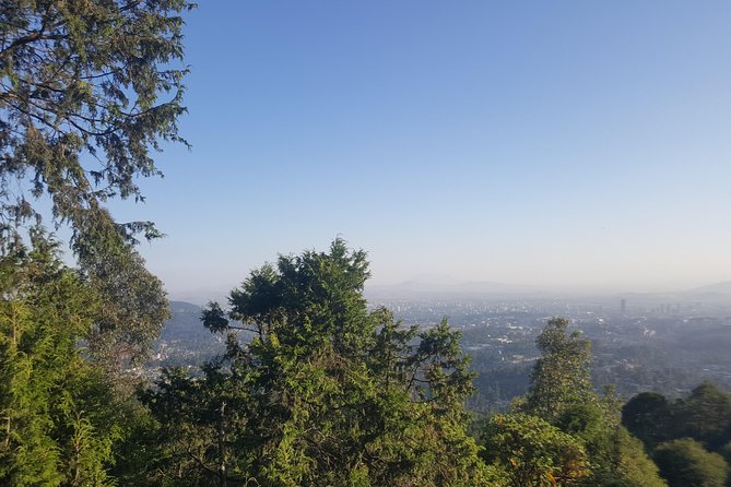 Full Day Tour of Addis Ababa with Hotel Pickup and Drop-off - The Ethnological Museum inside Addis Ababa University