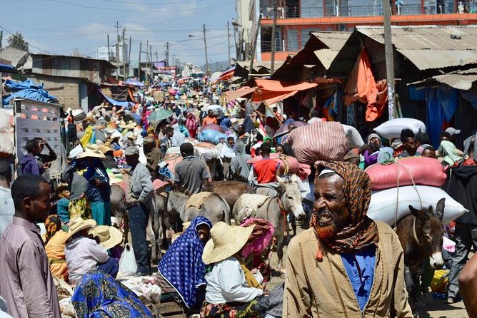 Half day Addis Ababa Excursions- complete experience guaranteed - Walking through the eucalyptus forest on Mount Entoto