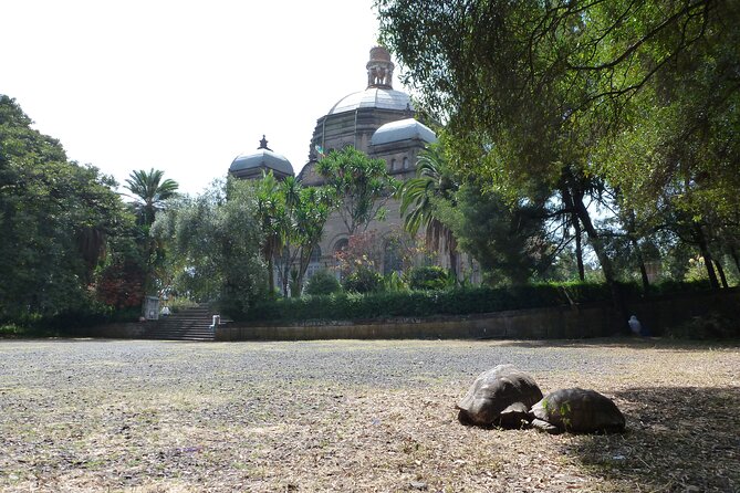 Hidden Treasures of Addis Ababa - Food, Culture and History Tour - Five details that shape the day