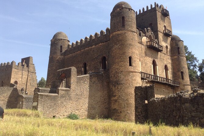 Historical tours - in five days, Addis Ababa, Axum, Laliebla and Gonder - Addis Ababa: Lucy, coffee, and a quick introduction