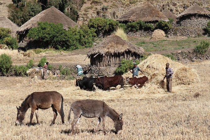 Lalibela 2-Day Eco Trekking Tour - Fitness, altitude, and sensible preparation