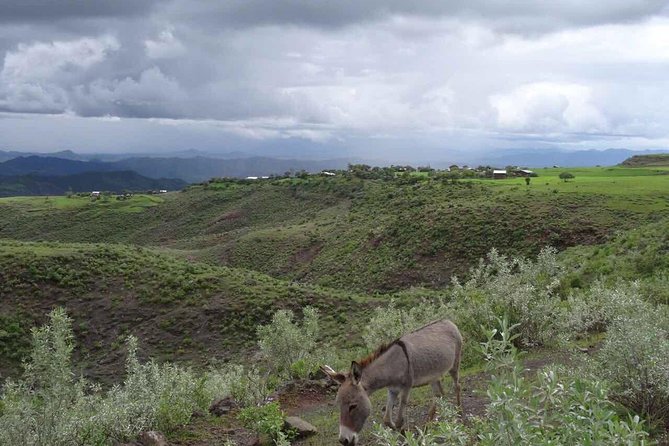 Lalibela churches Guided Tour - Bet Giyorgis, the church everyone remembers