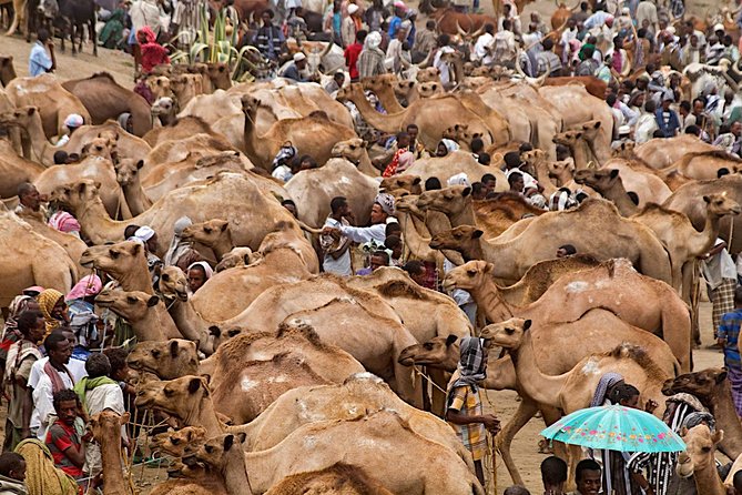 North Ethiopia Round Trip Tours From Addis Ababa - Key things to know before you book