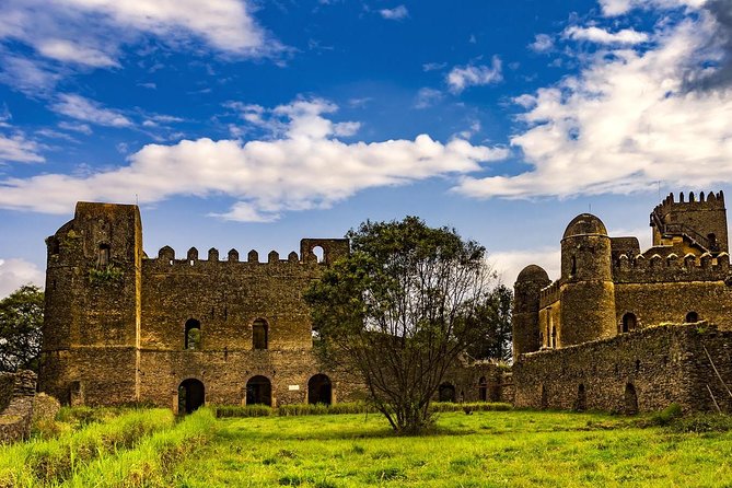 North Ethiopia Tours 12 Days From Addis Ababa - Day 6: Axum’s stelae, royal tombs, and sacred traditions