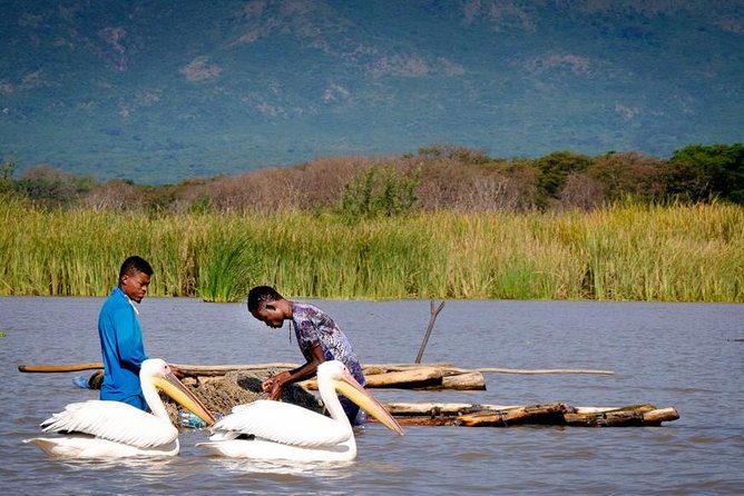 Northern Ethiopia Historic Route - Who should choose this tour