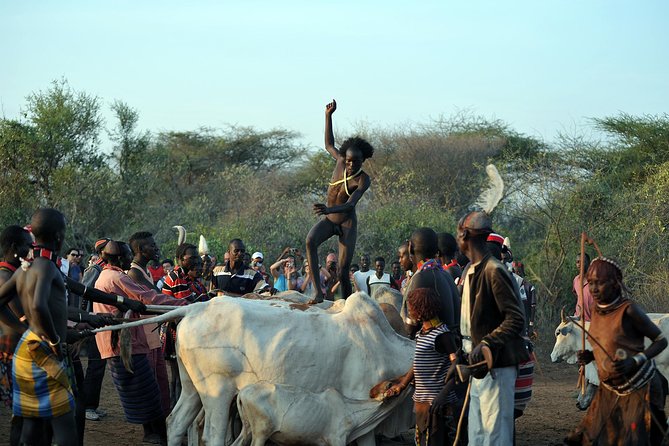 Omo Valley 5 Days - Day 3: Key Afar, Jinka, and a small museum