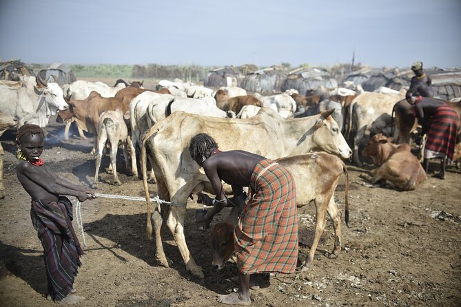 Photography Expeditions to Omo Valley - Day 6: Dorze homes, weaving, and the flight home