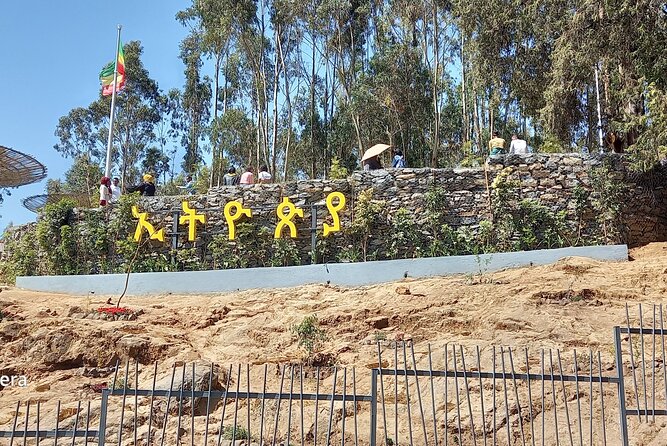 Prepare for the Best Day Tour in Addis Ababa - Tomoca Coffee and a useful taste of Addis