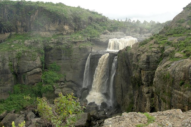 Private Day Trip to Debre Libanos Portuguese Bridge Galada Baboon - Why this day trip works beyond Addis Ababa