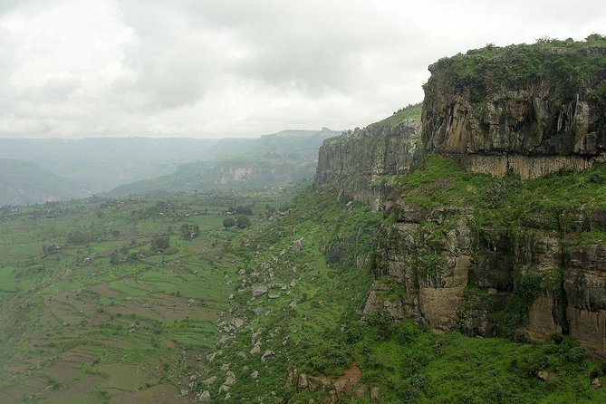 Private Day Trip to Debre Libanos Portuguese Bridge Galada Baboon - Geladas and vultures in the gorge