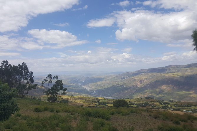 Private Day Trip to Debre Libanos Portuguese Bridge Galada Baboon - Tej tasting in Sululta
