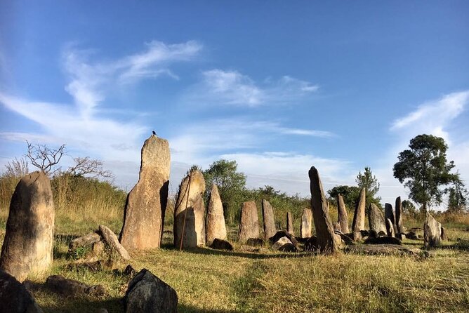 Private Full-Day Stone Age and Medieval Tour from Addis Ababa - Why this day trip works so well from Addis Ababa