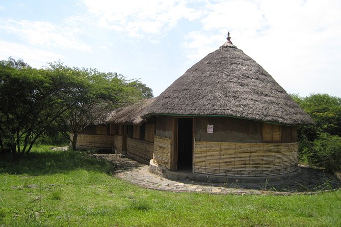 Private Full-Day Stone Age and Medieval Tour from Addis Ababa - Is $163.17 per person good value?