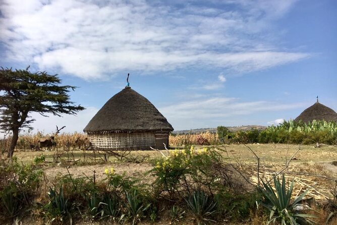 Private Full-Day Stone Age and Medieval Tour from Addis Ababa - Melka Kunture: Ethiopia’s Stone Age story