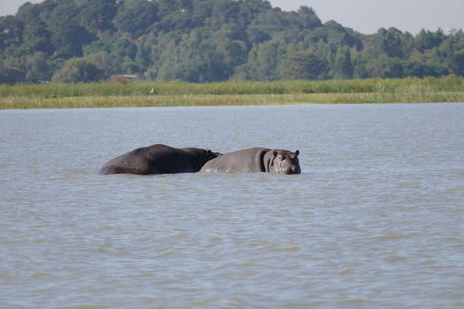 Private Guided Tours To Bahir Dar Lake Tana Monastery & Blue Nile Waterfalls - Key points at a glance