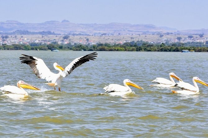 Private Guided Tours To Bahir Dar Lake Tana Monastery & Blue Nile Waterfalls - Final verdict: a smart one-day introduction to Bahir Dar