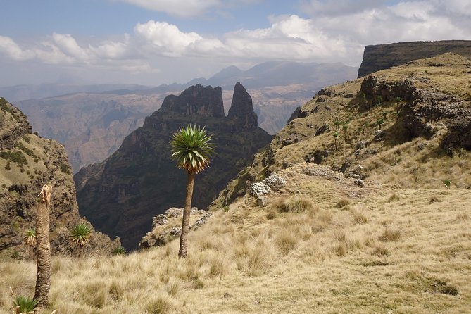 Simien Mountains National Park – 7 Day Trek - Day 6: Rivers, monkeys, and the final climb to Mulit