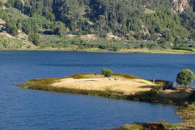 Stunning Views Wonchi Crater Lake a Private Day Trip - Waliso coffee and a short spa-town stop