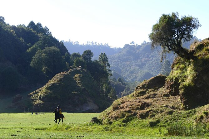 Stunning Views Wonchi Crater Lake a Private Day Trip - The 7:00 am departure and the road to Waliso