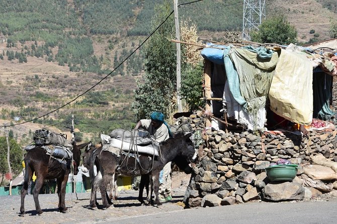 The Best way to Discover Addis Ababa - Why this one-day Addis Ababa route works
