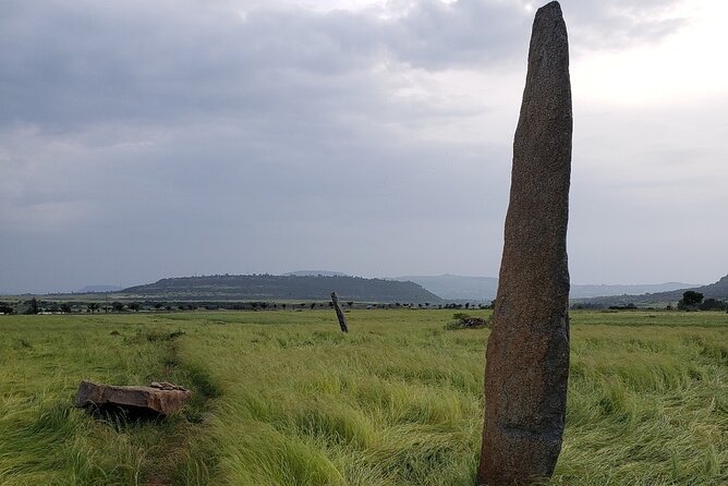 Two Days Trip in Axum and its Surroundings - Gobo Dura and the making of the Great Stele
