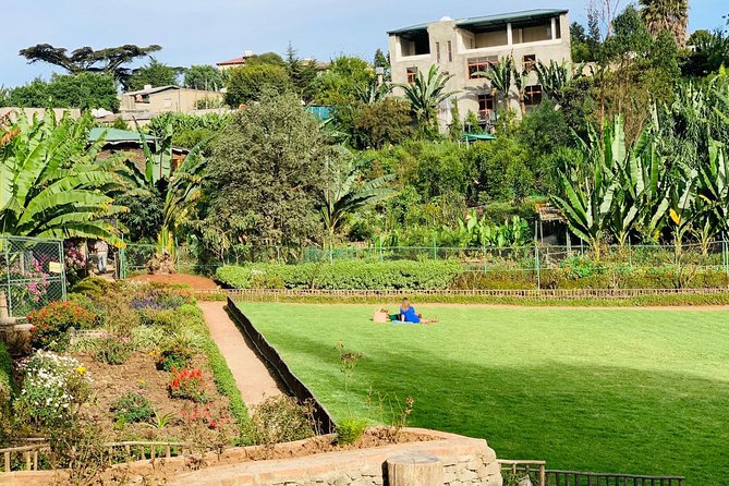 Walking Tour of Addis Abeba - Discover Addis the Authentic way - The walking, transport, and pace
